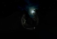 Cкриншот Slender: Strange Forest, изображение № 625095 - RAWG