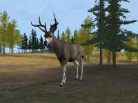 Cкриншот Deer Hunter 2004, изображение № 356742 - RAWG