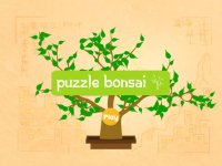 Cкриншот Puzzle Bonsai, изображение № 936074 - RAWG