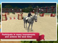 Cкриншот HorseWorld: Show Jumping, изображение № 1843949 - RAWG