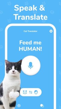 Cкриншот Cat Translator - Meow, изображение № 2864108 - RAWG