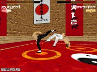 Cкриншот Karate Fighter, изображение № 343366 - RAWG