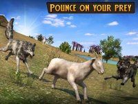 Cкриншот Wolf Life Simulation 2017, изображение № 1843804 - RAWG