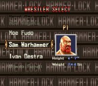 Cкриншот HammerLock Wrestling, изображение № 761761 - RAWG