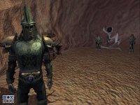 Cкриншот EverQuest II, изображение № 360822 - RAWG