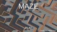 Cкриншот The Maze ( memes version), изображение № 2651080 - RAWG