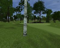 Cкриншот Customplay Golf, изображение № 417867 - RAWG