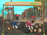 Cкриншот Cat Sim Online: Play With Cats, изображение № 2042816 - RAWG