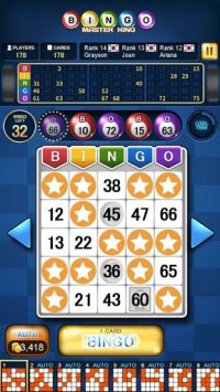 Cкриншот Bingo Master King, изображение № 1578894 - RAWG