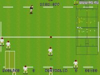 Cкриншот World Class Rugby '95, изображение № 344640 - RAWG