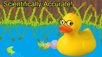 Cкриншот Duck Simulator 2020, изображение № 2373007 - RAWG