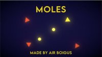 Cкриншот Moles (Air Boigus), изображение № 2699079 - RAWG