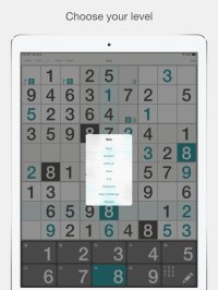 Cкриншот Sudoku ′, изображение № 2059178 - RAWG