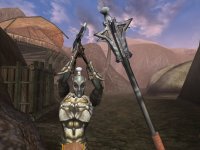 Cкриншот The Elder Scrolls III: Morrowind, изображение № 289968 - RAWG