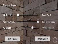 Cкриншот Maze Race Challenge, изображение № 979755 - RAWG