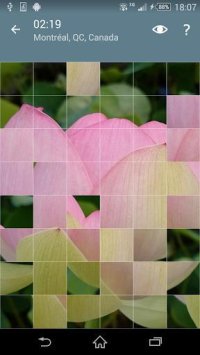Cкриншот Jigsaw Puzzle: Flowers, изображение № 1497469 - RAWG