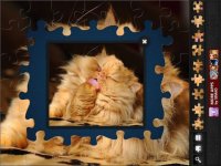 Cкриншот Jigsaw Puzzles: Funny Cats, изображение № 905083 - RAWG