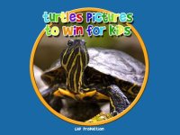 Cкриншот turtle pictures to win for kids - free, изображение № 1669882 - RAWG