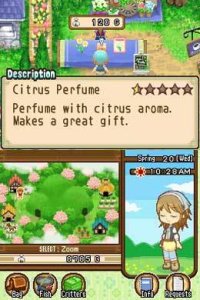 Cкриншот Harvest Moon DS: The Tale of Two Towns, изображение № 791758 - RAWG