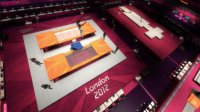 Cкриншот London 2012 - The Official Video Game of the Olympic Games, изображение № 633139 - RAWG