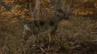 Cкриншот Pro Deer Hunting, изображение № 2280376 - RAWG