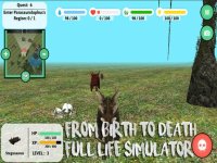 Cкриншот Stegosaurus Simulator, изображение № 1705686 - RAWG