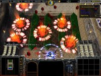 Cкриншот Warcraft 3: Reign of Chaos, изображение № 303425 - RAWG