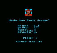Cкриншот WWF King of the Ring, изображение № 738780 - RAWG