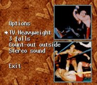 Cкриншот WCW SuperBrawl Wrestling, изображение № 763240 - RAWG