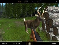 Cкриншот Deer Drive, изображение № 453405 - RAWG