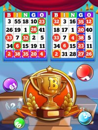 Cкриншот Bingo Heaven!, изображение № 896335 - RAWG