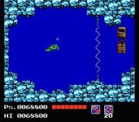 Cкриншот Teenage Mutant Ninja Turtles (1989), изображение № 1697641 - RAWG