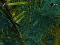 Cкриншот Дайвер. Тайны подводного мира, изображение № 482115 - RAWG