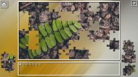 Cкриншот Super Jigsaw Puzzle: Generations, изображение № 1868480 - RAWG