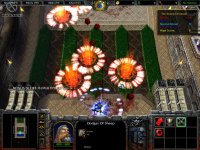 Cкриншот Warcraft 3: Reign of Chaos, изображение № 303460 - RAWG