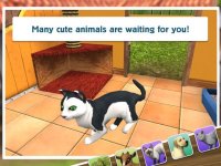 Cкриншот PetWorld: Animal Shelter, изображение № 1843904 - RAWG