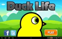 Cкриншот Duck Life, изображение № 1518783 - RAWG