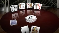 Cкриншот Crazy Eights 3D Premium, изображение № 2220494 - RAWG