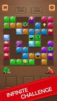 Cкриншот Block Puzzle, изображение № 1376363 - RAWG