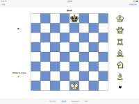 Cкриншот Rook Endgame for Syzygy 6, изображение № 2137222 - RAWG