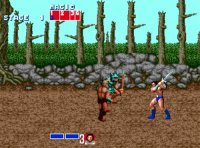 Cкриншот SEGA Mega Drive Classic Collection Volume 1, изображение № 571932 - RAWG