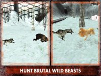 Cкриншот Wild Wolf Attack Simulator 3D – Live life of an alpha and take revenge for your clan, изображение № 919858 - RAWG