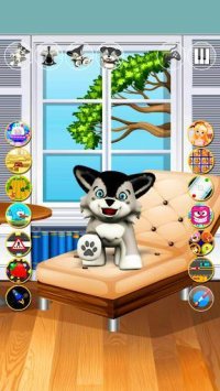 Cкриншот Talking Dog Husky Puppy, изображение № 1586386 - RAWG