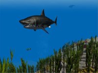 Cкриншот Shark Simulator 3D 2016 - Ocean animals, изображение № 935944 - RAWG