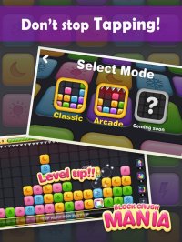 Cкриншот Block Crush Mania, изображение № 2136730 - RAWG