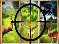 Cкриншот Deer Hunt Rapid Shooting, изображение № 1603501 - RAWG