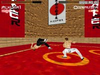 Cкриншот Karate Fighter, изображение № 343364 - RAWG