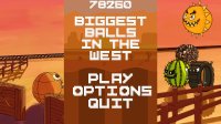 Cкриншот Biggest Balls in the West, изображение № 3183212 - RAWG