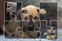 Cкриншот Puppies Jigsaw Puzzles Free Pet Games for Kids, изображение № 1492927 - RAWG