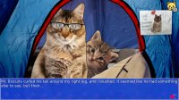 Cкриншот Cat President 2: Purrlitical Revolution, изображение № 2566107 - RAWG